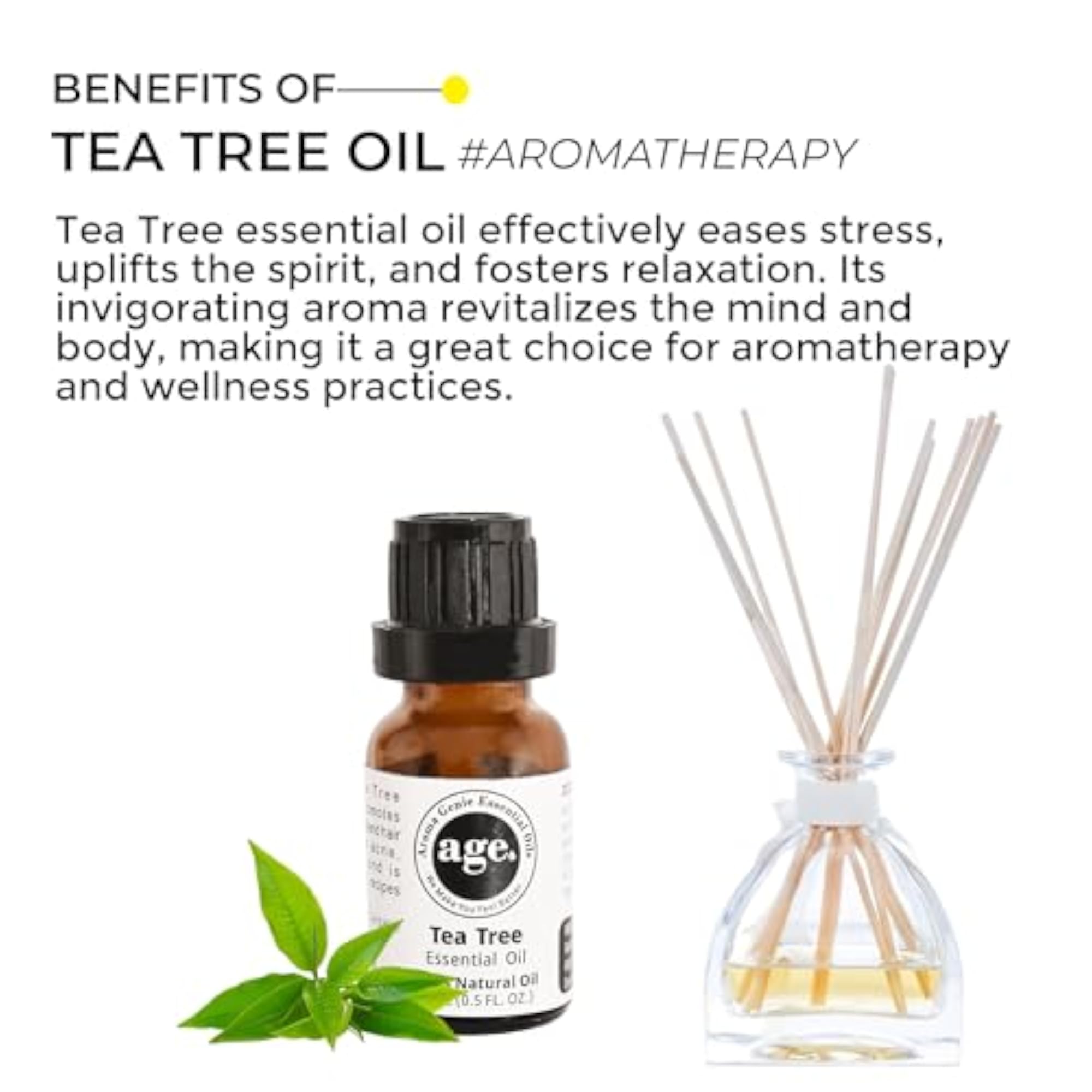 Aroma Genie Ylang Ylang & Tea Tree Essential Oil Combo, 15ml Each